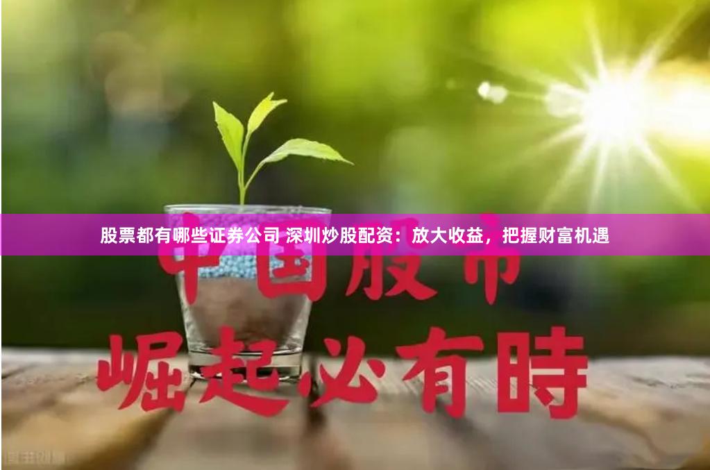 股票都有哪些证券公司 深圳炒股配资：放大收益，把握财富机遇