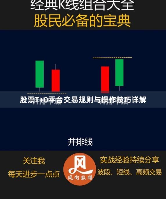 股票T+0平台交易规则与操作技巧详解