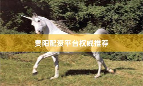 贵阳配资平台权威推荐